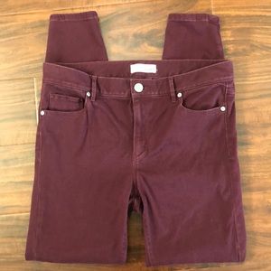 LOFT Wine Colored Legging